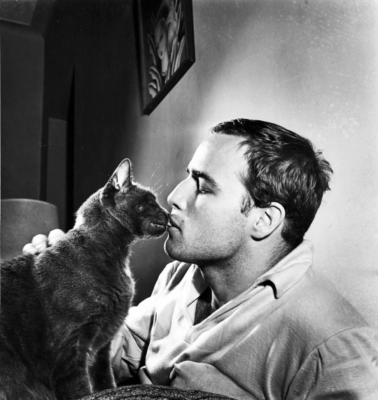 Marlon Brando and a cat, pics via Retronaut