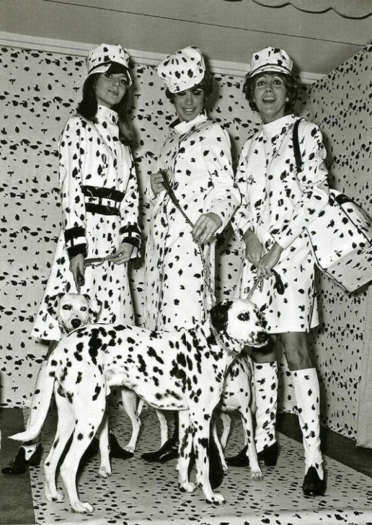 Dalmation Fashion – 1967. picture via vintage everyday